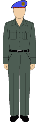 الزي الميداني