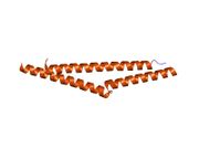 1m5i: Crystal Structure of the coiled coil region 129-250 of the tumor suppressor gene product APC