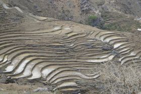 صورة معبرة عن الموضوع مديرية الجبين