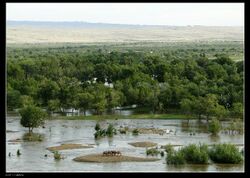 201007151135436406250 0.jpg