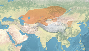 Map of the Sakas.png