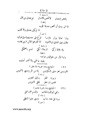 الصفحة التالية &larr;