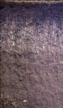 A profile of layers of Mollisols, the soil type found in the Great Plains of the U.S., the Pampas in Argentina, and the Russian Steppes.