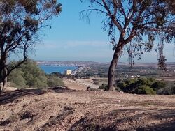 منظر ساحل منطقة العنصر