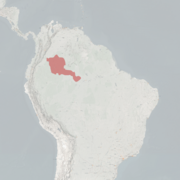 خريطة النطاق