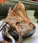 Placenta with attached fetal membranes (ruptured at the margin at the left in the image).