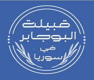 قبيلة البو جابر في سوريا.jpeg