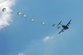 US Army 52228 "Airborne" in five languages 3.jpg