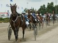 Harness racer Ari Kela at the Pori harness racing track
