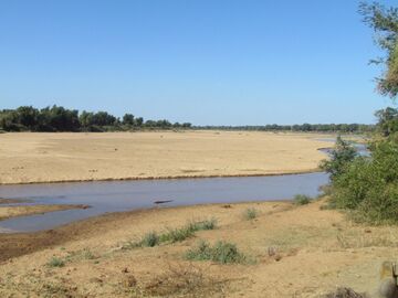 The river as seen from Crook's Corner in Kruger National Park, South Africa. Straight ahead of the river is موزمبيق. الضفة الأخرى من النهر هي زيمبابوى.