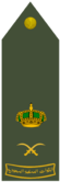 LIWA (RSLF).png