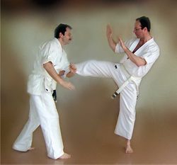 قطة تدريبية للقتال الفردي.JPG.jpg