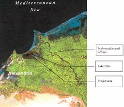 بحيرة إدكو وترعة المحمودية.jpg