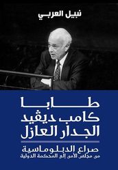 طابا كامب ديفيد الجدار العازل، نبيل العربي.