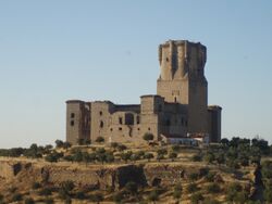 Castle of the Sotomayor and Zuñiga.