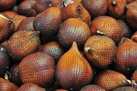 Tilings: overlapping scales of snakefruit or salak, Salacca zalacca