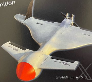 الطائرة بدون طيار المتسكعة -MP 300.png