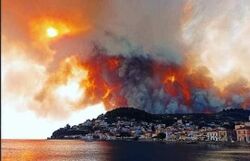 حرائق اليونان1.jpg