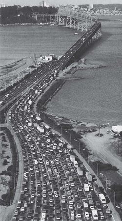 مشهد لشارع مكتظ بالسكان.jpg