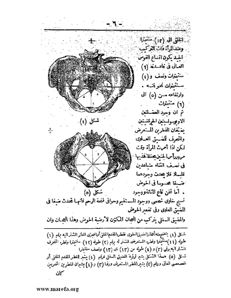 ملف:لمحات السادة في فن الولادة.pdf