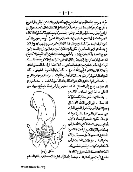 ملف:لمحات السادة في فن الولادة.pdf