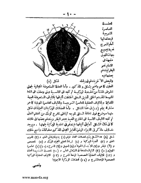 ملف:لمحات السادة في فن الولادة.pdf