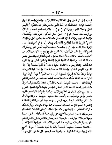 ملف:لمحات السادة في فن الولادة.pdf