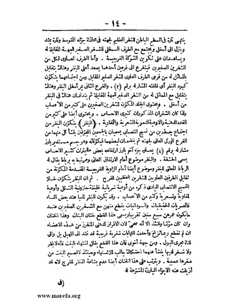 ملف:لمحات السادة في فن الولادة.pdf