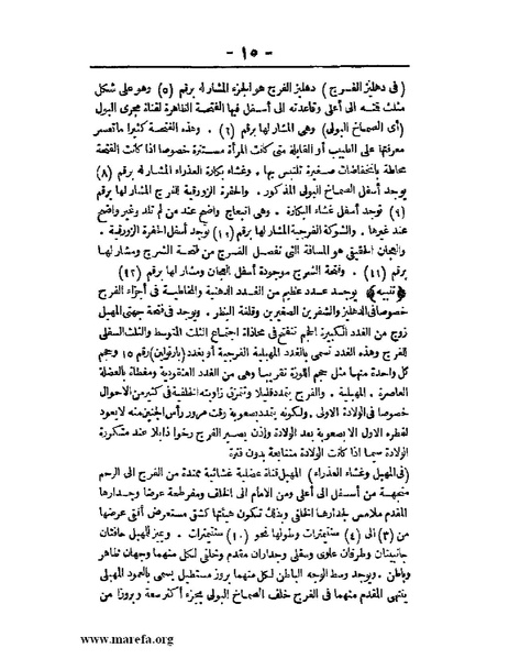 ملف:لمحات السادة في فن الولادة.pdf