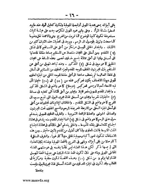 ملف:لمحات السادة في فن الولادة.pdf