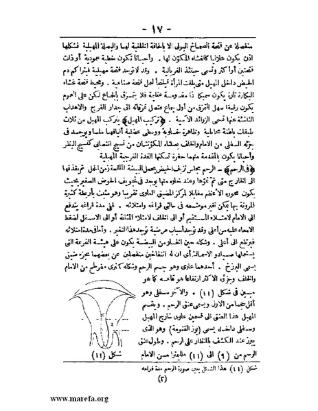 ملف:لمحات السادة في فن الولادة.pdf