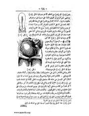 الصفحة التالية &larr;