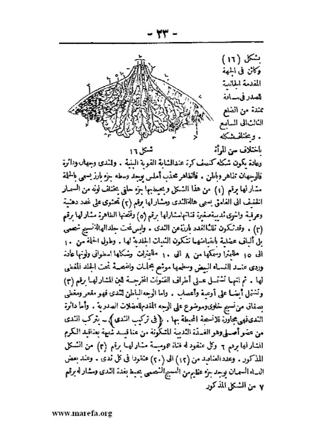 ملف:لمحات السادة في فن الولادة.pdf