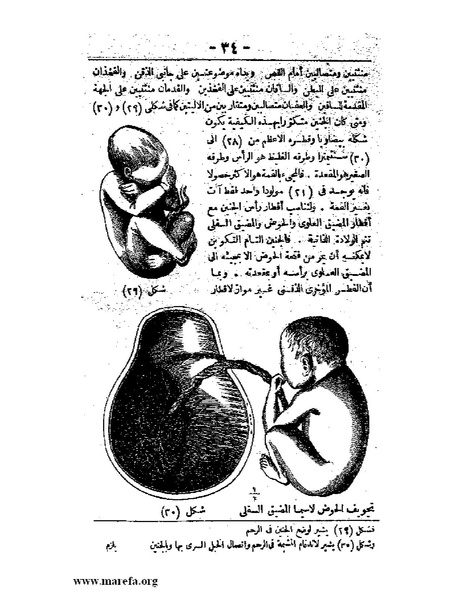 ملف:لمحات السادة في فن الولادة.pdf