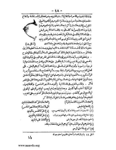 ملف:لمحات السادة في فن الولادة.pdf