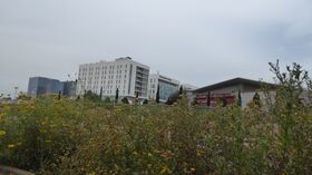 Kiryat Ono, Israel - March 2024 02.jpg