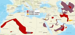 SandCat distribution.jpg
