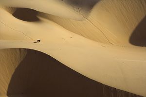 الصحراء الكبرى في أفريقيا.