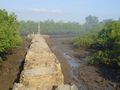 The jetty at Chake Chake, surrounded by mangroves