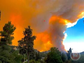 حرائق جبال القدس4.jpeg