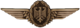 BW Tätigkeitsabzeichen Militärluftfahrzeugführer.png