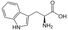 Structure of L-isomer