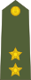 Lieutenant of the Indian Army.svg