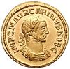 CarinusAureus.jpg
