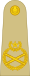 OF-10 Pakistan Army.svg