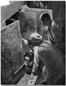 هوارد كارتر ومرافقوه لحظة فتح غرفة الدفن.