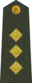 Pulkvedis[11] (Latvian Land Forces)