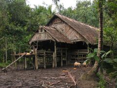 Uma longhouse traditional vernacular houses of Mentawai people