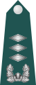 대위 (Daewi) South Korean army