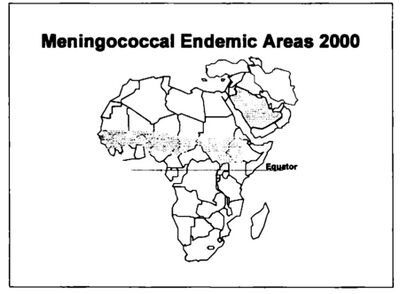 المناطق المتوطنة بالمكورات السحائية